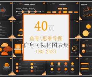 40页 NO.242 鱼骨思维导图信息可视化PPT图表